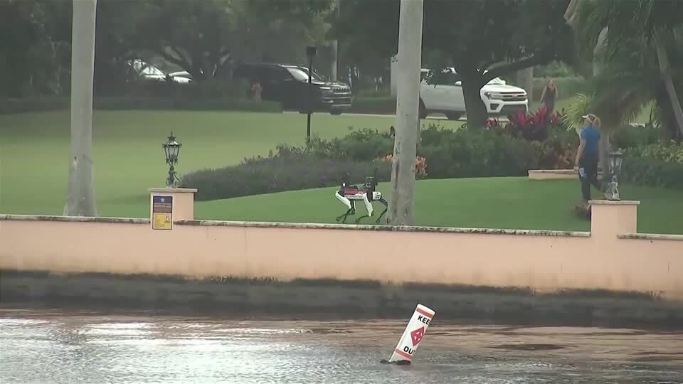 Robotic dogs patrol around the Mar-a-Lago estate following Trump's election victory.