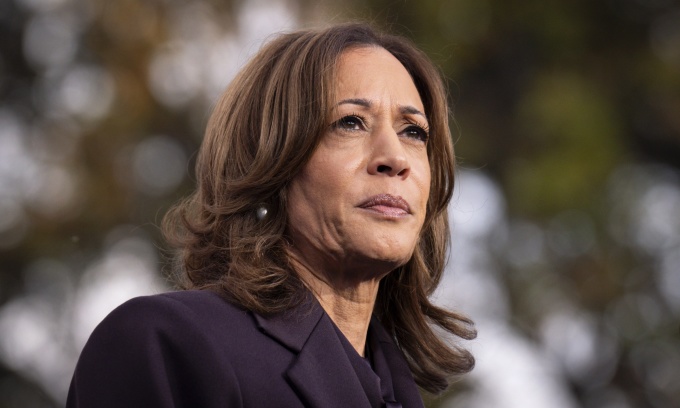 Democratic Official Calls Vice President Kamala Harris Campaign a 'Billion-Dollar Disaster'