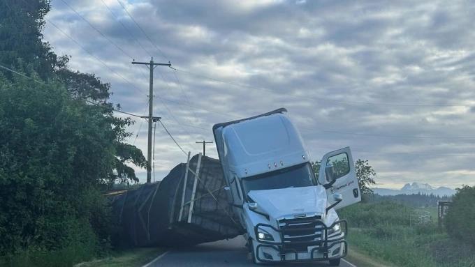 Truck Overturns in Washington, Releasing 250 Million Honeybees Into Chaos